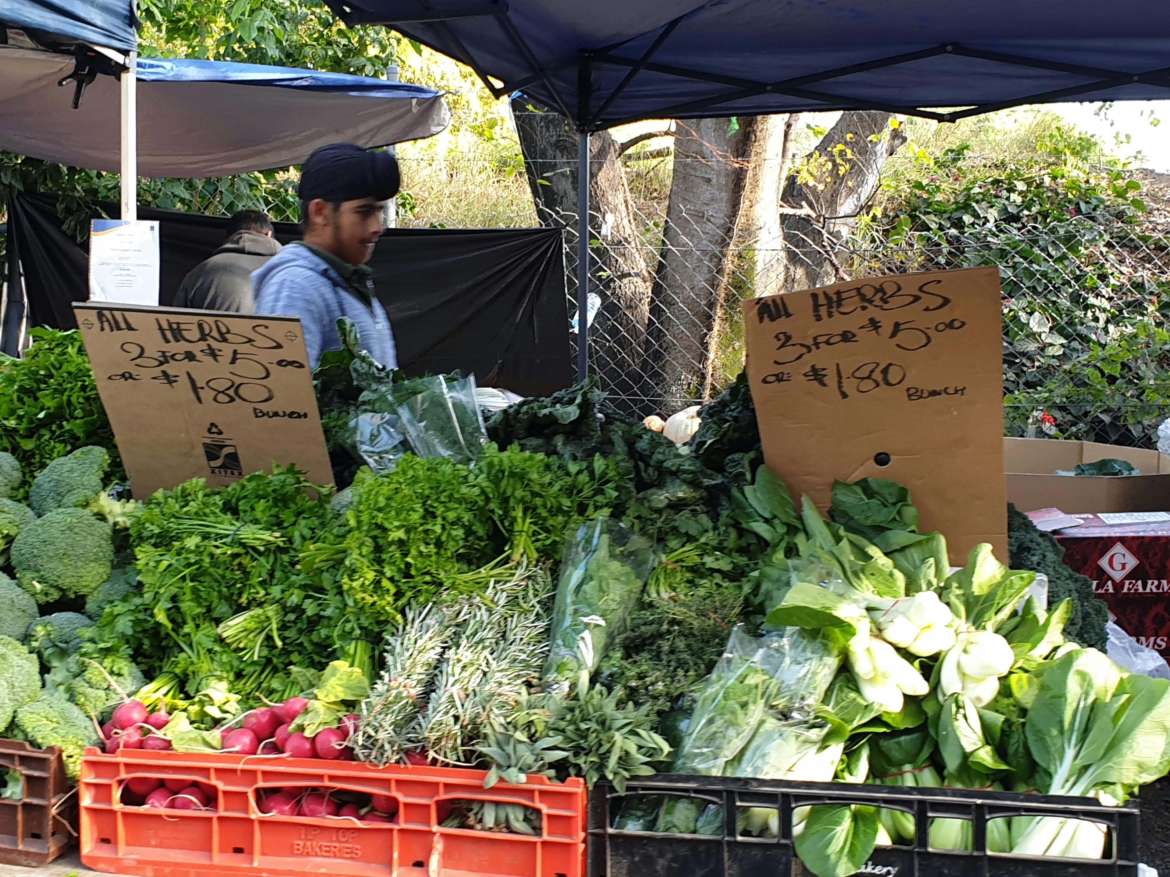 Picture of fresh fruit and veg