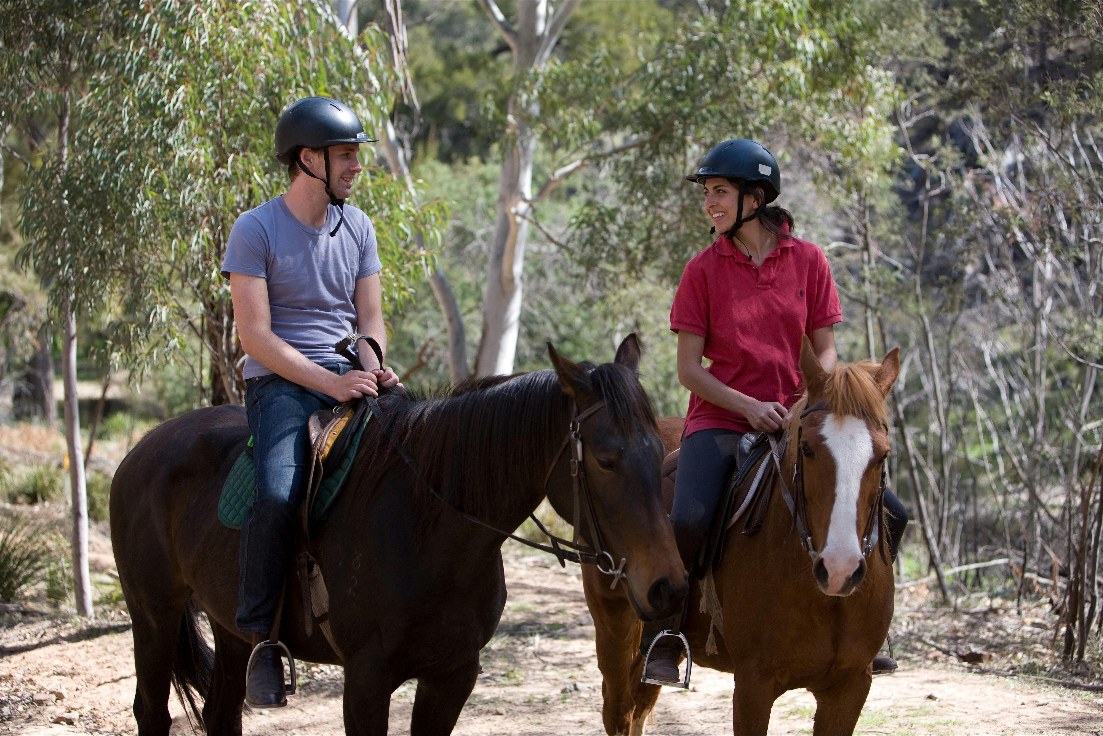 Their horses are healthy and happy!