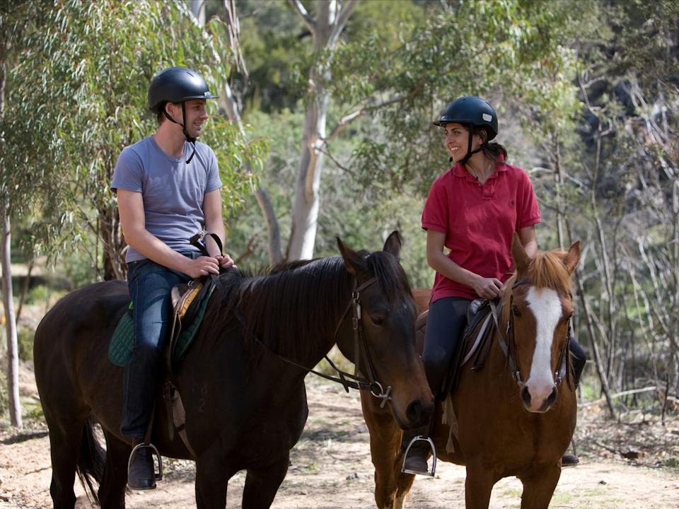Relax on well fed and nourished horses.