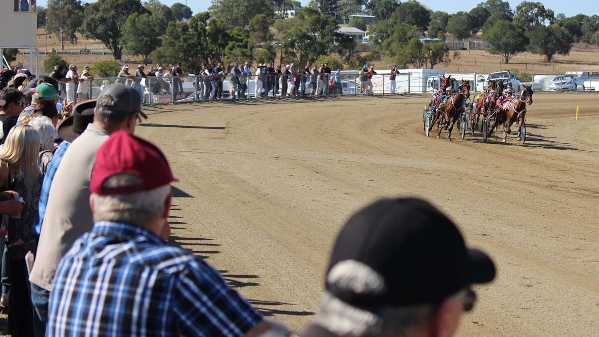 Marburg Harness Racing Association | Ipswich