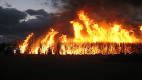 cane Fire