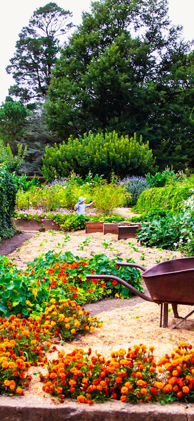 Lanyon Homestead gardens