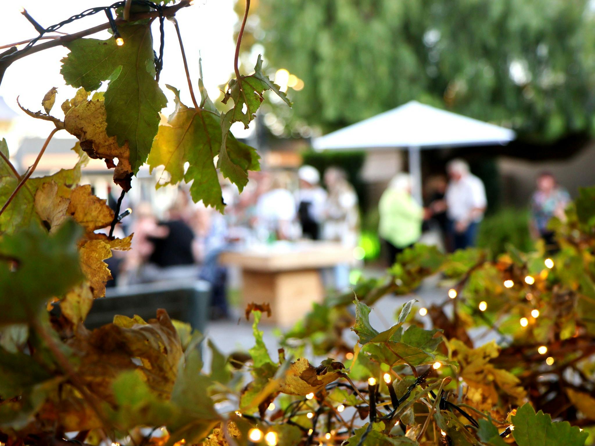 Barossa Made Market Scene