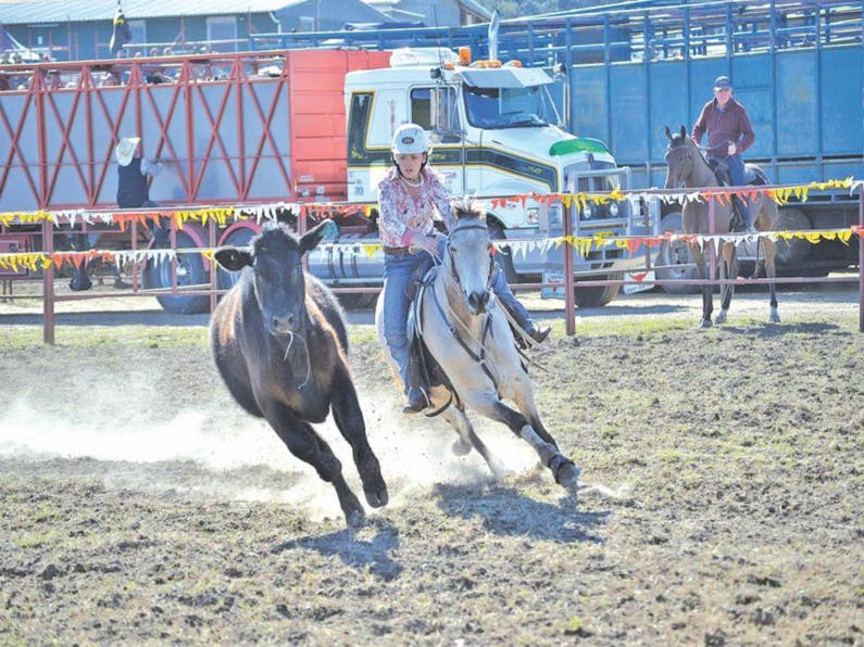 Image of the event 'Gresford Campdraft and Rodeo'