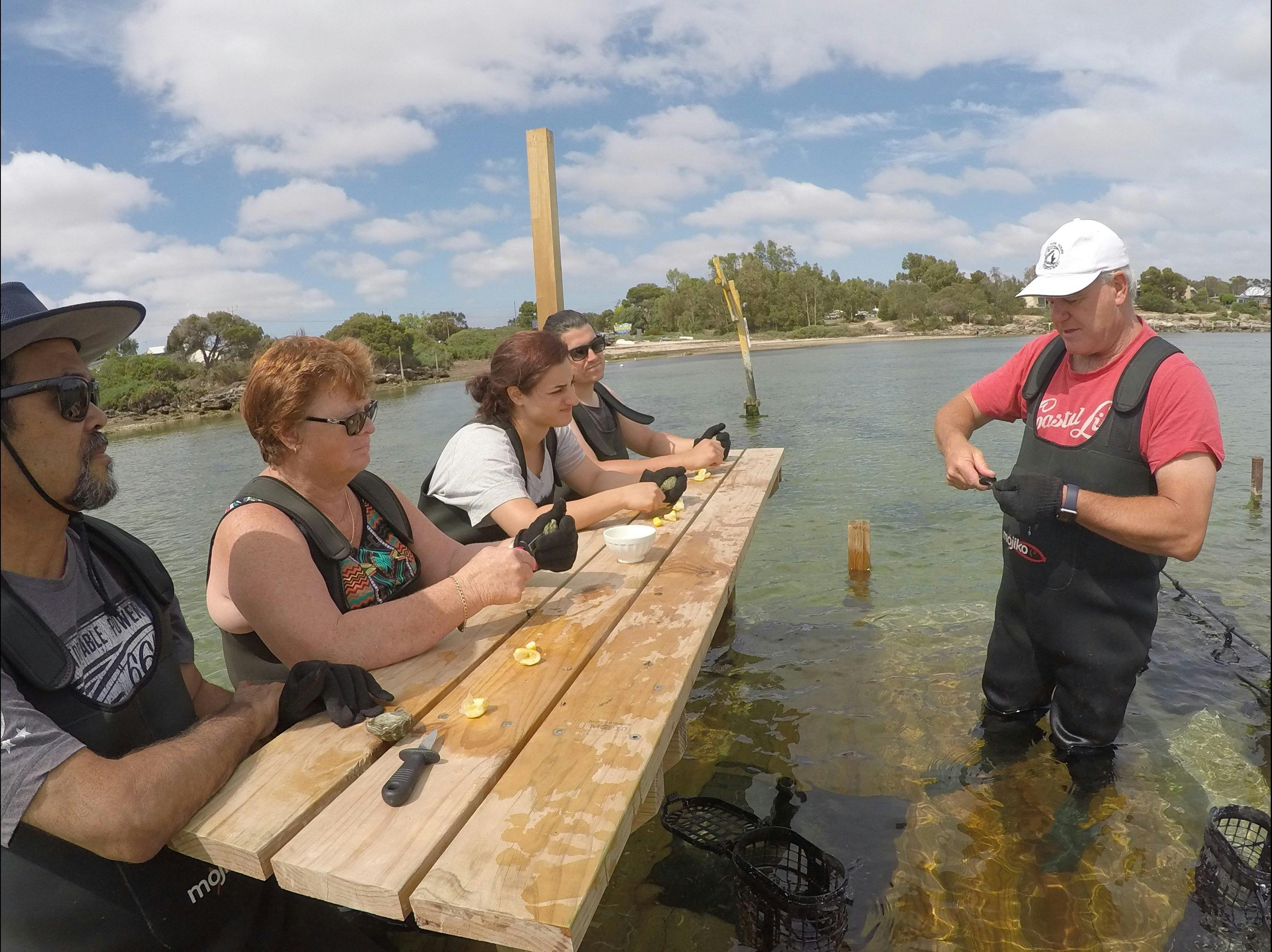 Coffin Bay Oyster Farm & Tasting Tours Port Lincoln, South Australia