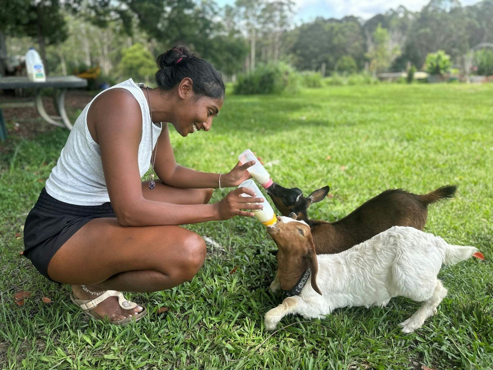 コフスハーバーキャンプ