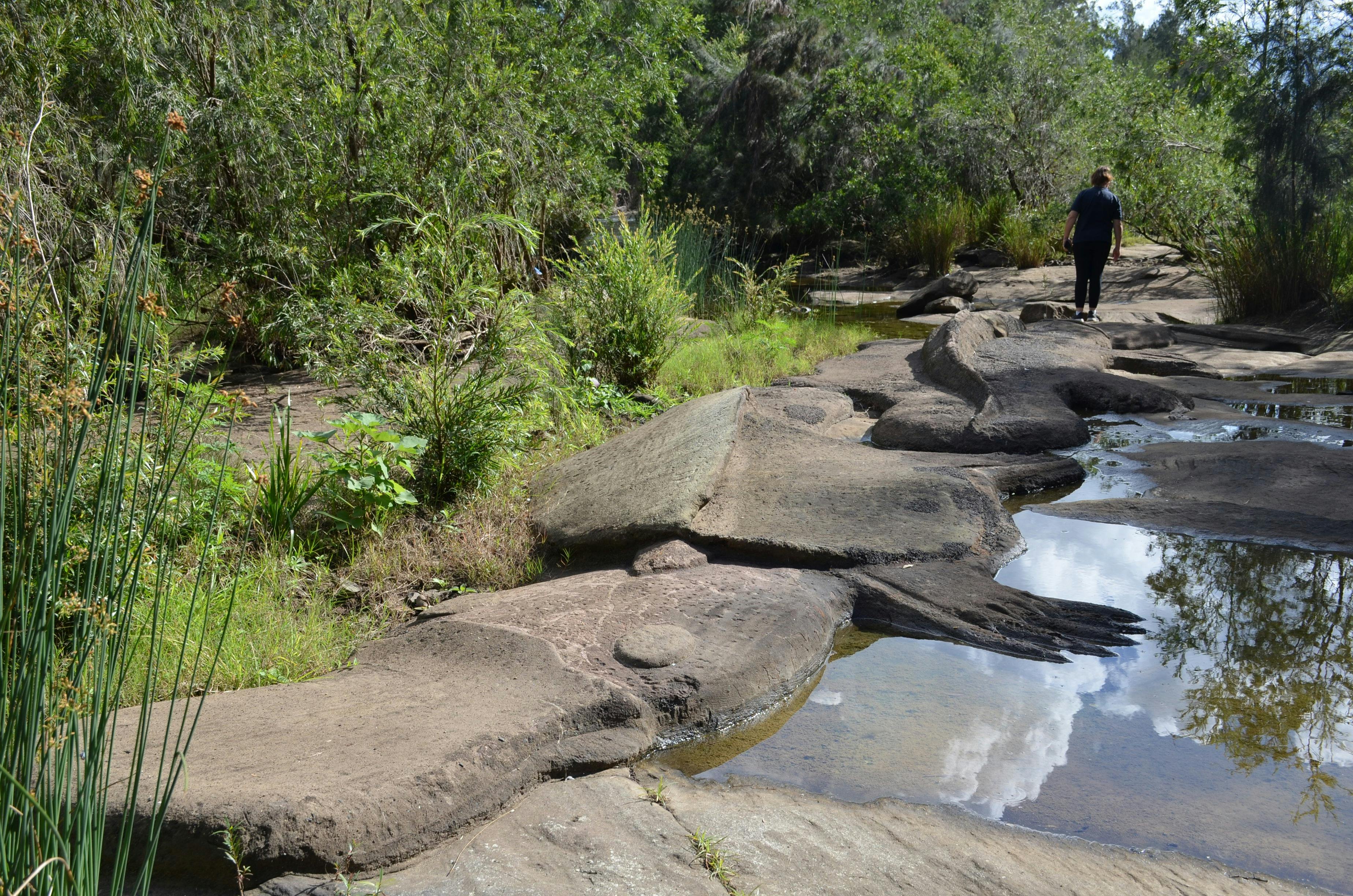 Platypus Pool and Rock Carvings