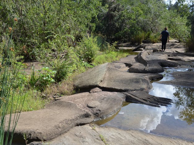 Platypus Pool and Rock Carvings