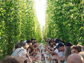 Ryefield Hops - Dine in the Bines Cover Image