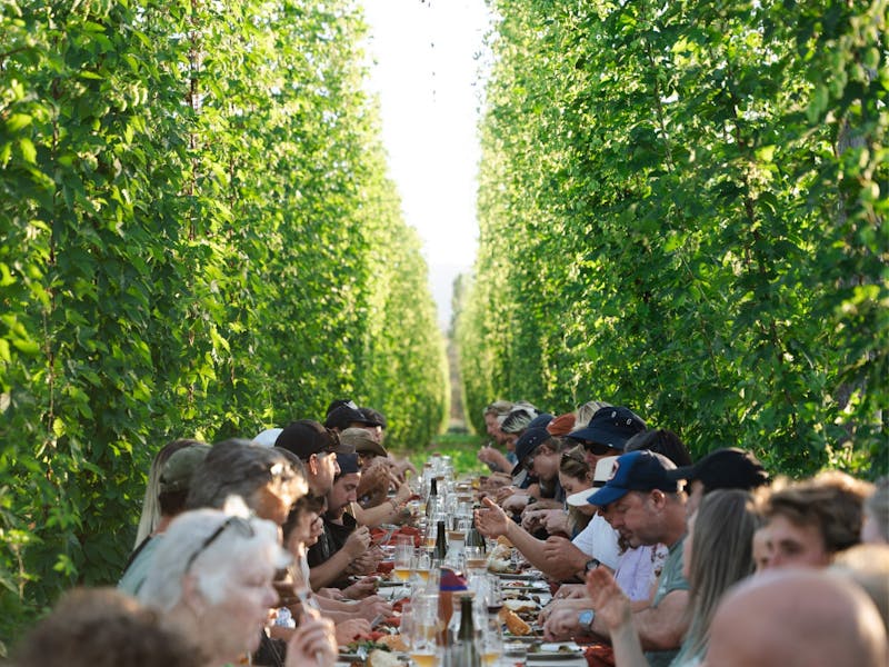 Image for Ryefield Hops - Dine in the Bines