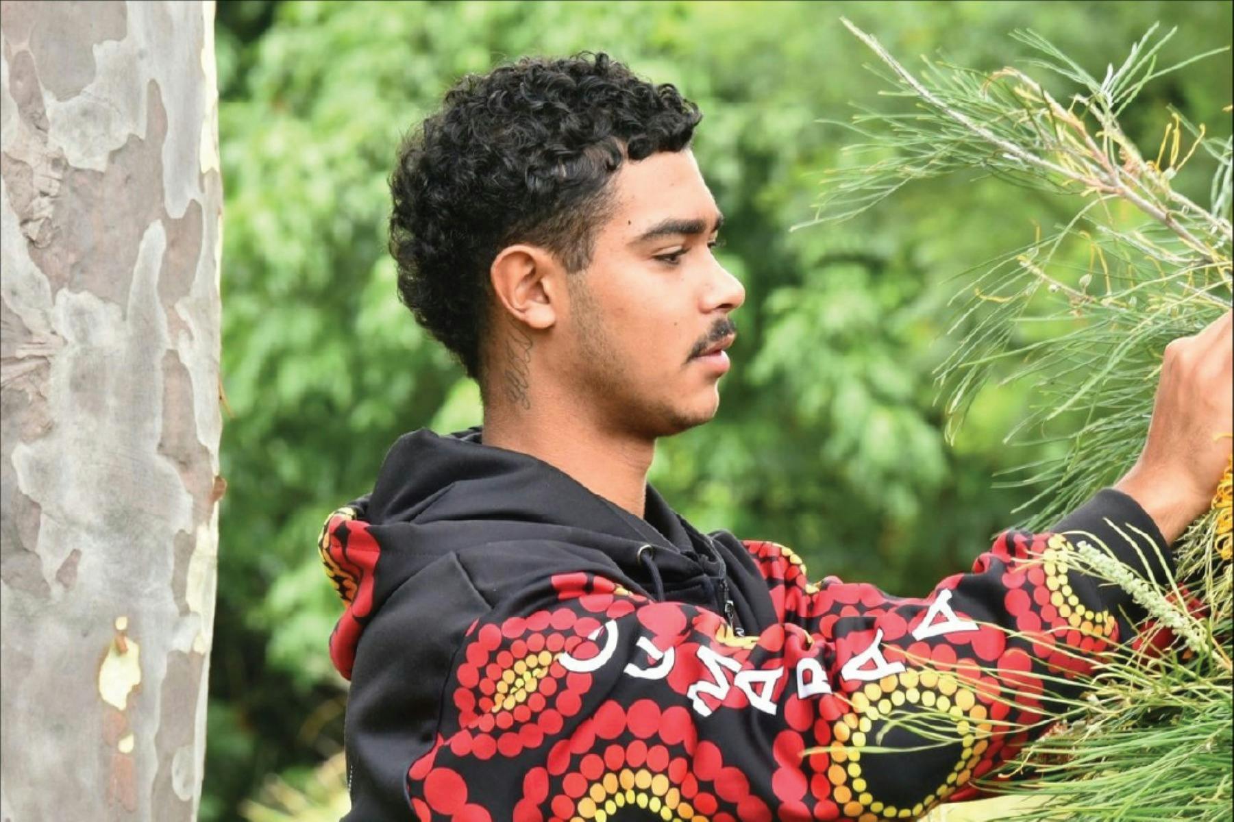 古馬拉的傳統叢林美食/藥材漫步