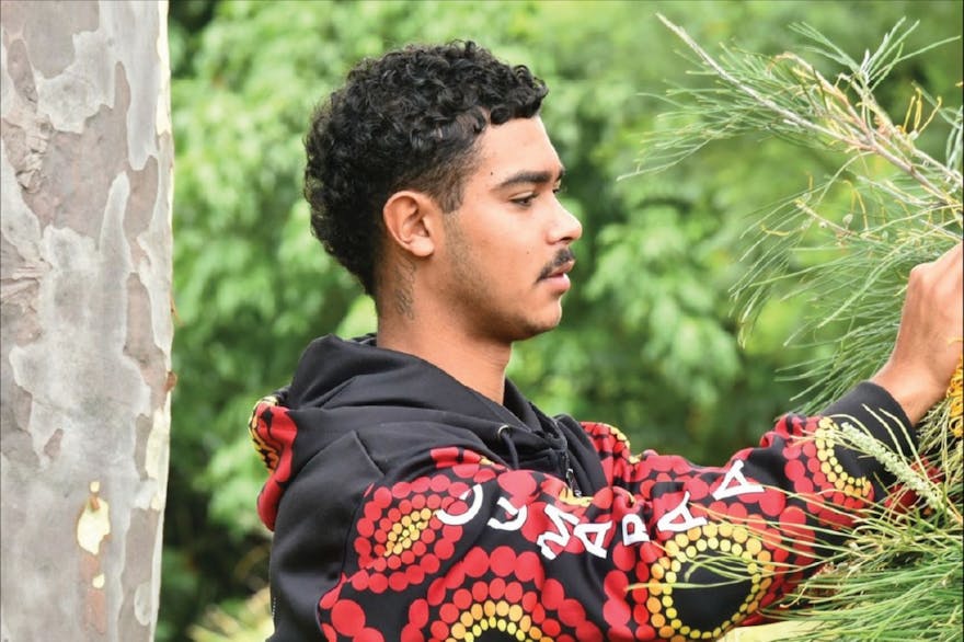 Gumaraa's Traditional Bush-Tucker/Medicine Walk at Killalea Regional Park