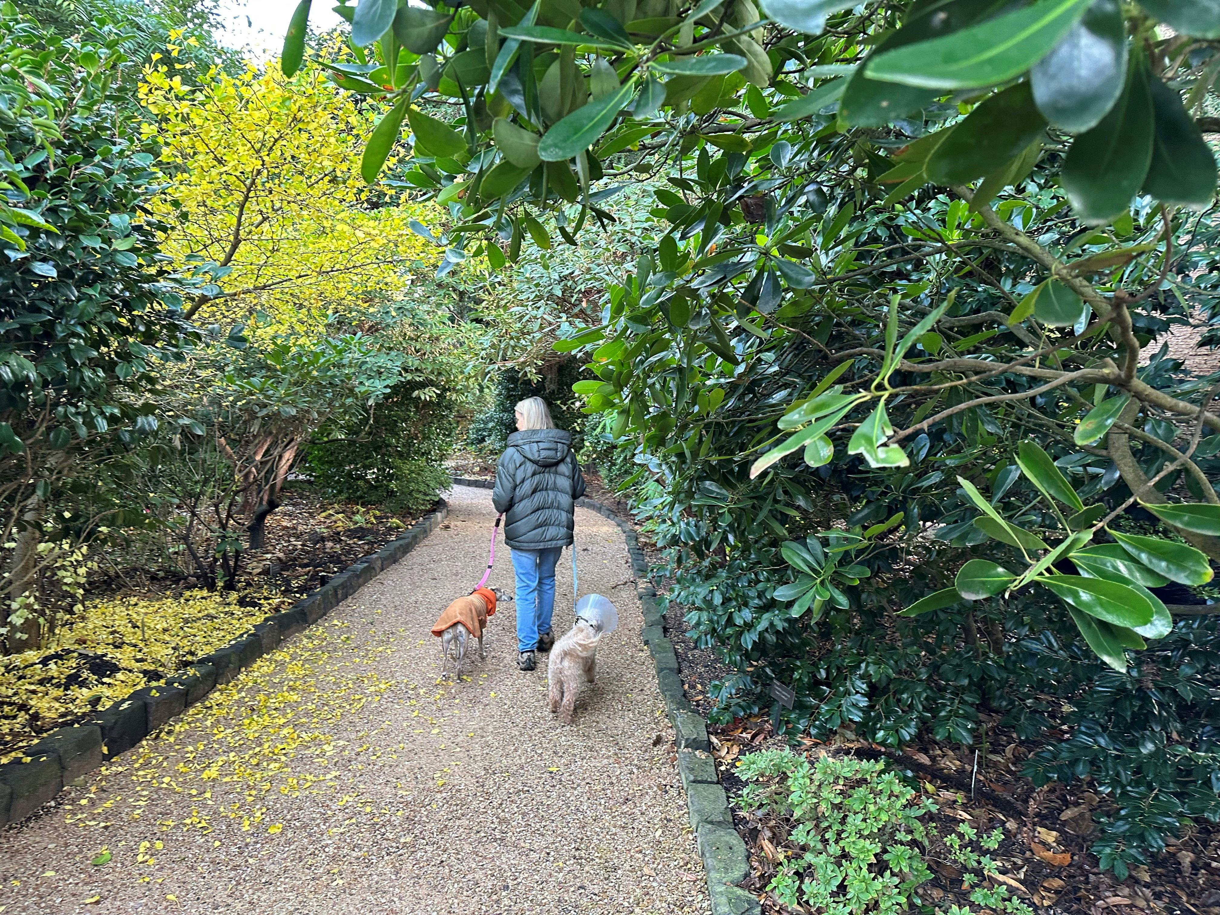 Friends of Geelong Botanic Gardens