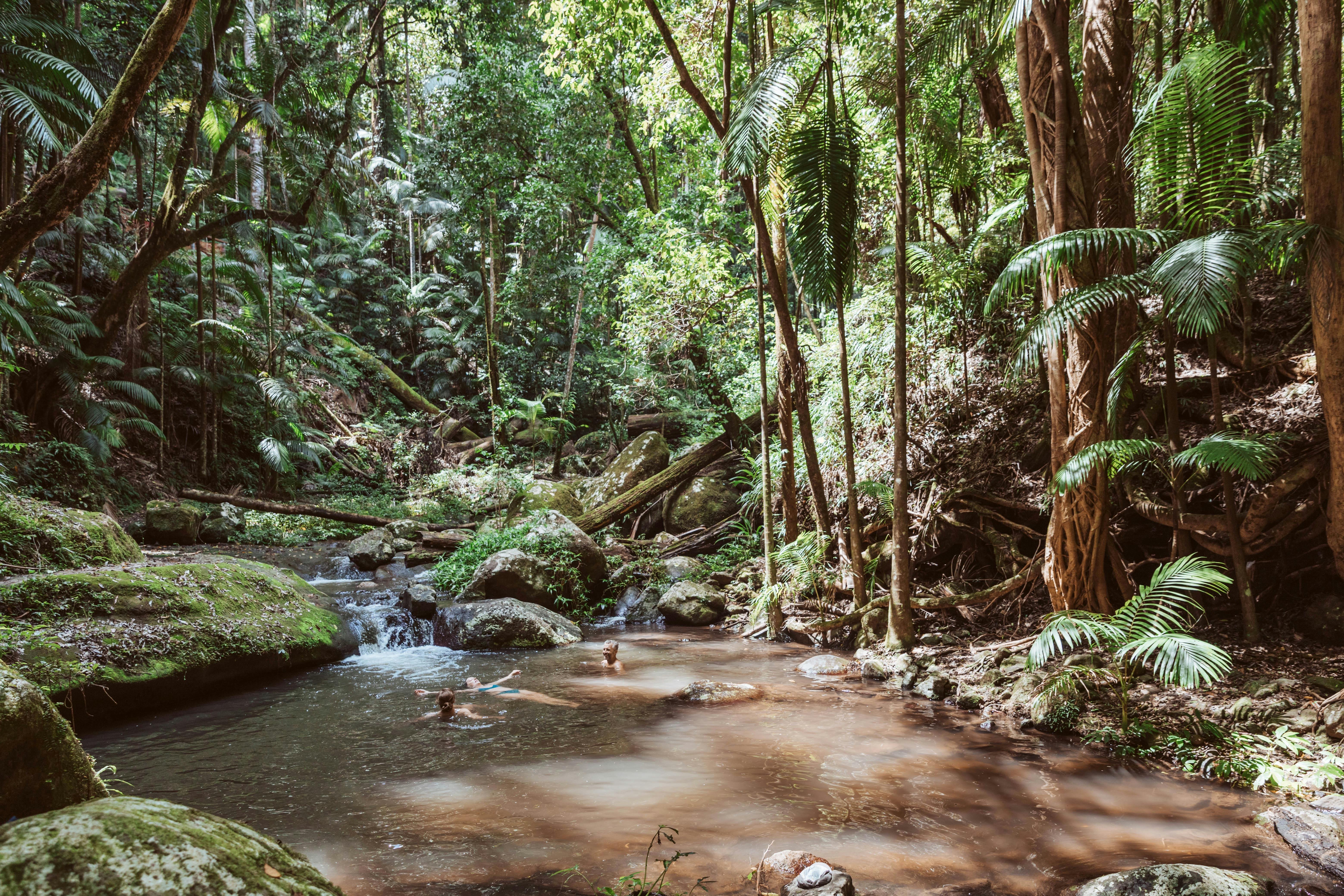 Wild swimming in World Heritage Listed Rainforest