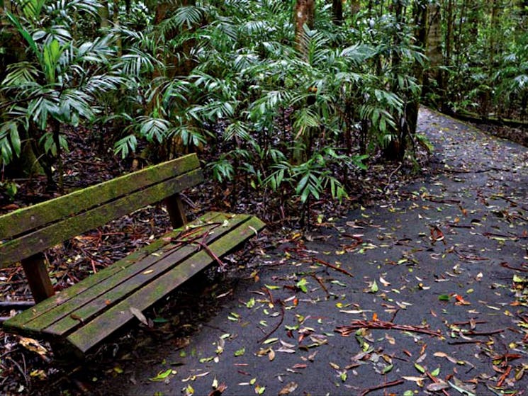 Coombadjha Walk, Washpool National Park. Photo: Rob Cleary