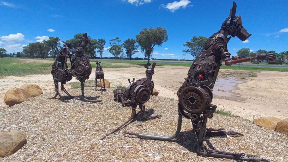 Angus Wilson Sculptures Nungwai Goondiwindi
