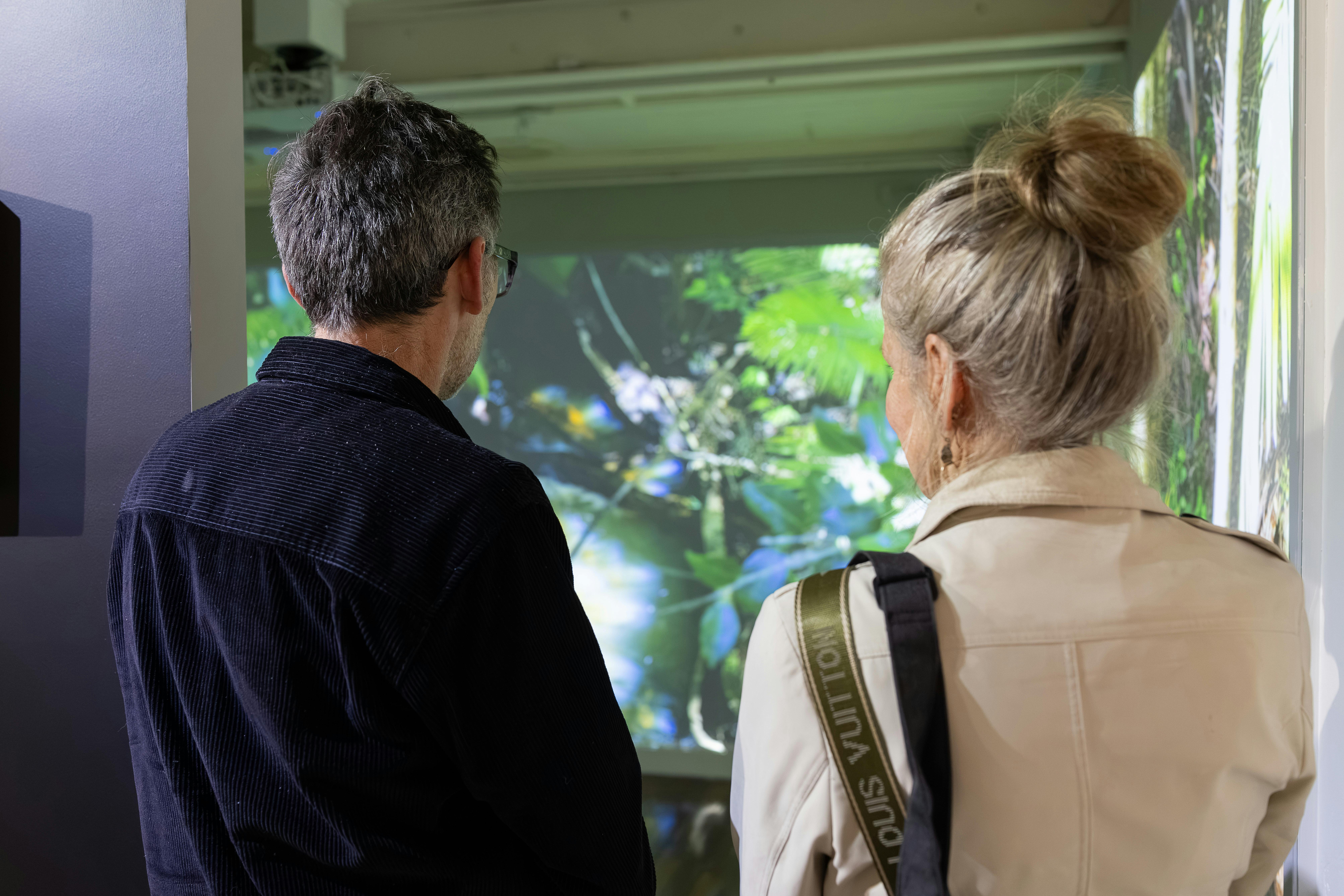 man and woman looking at Birpai Country Stories projection