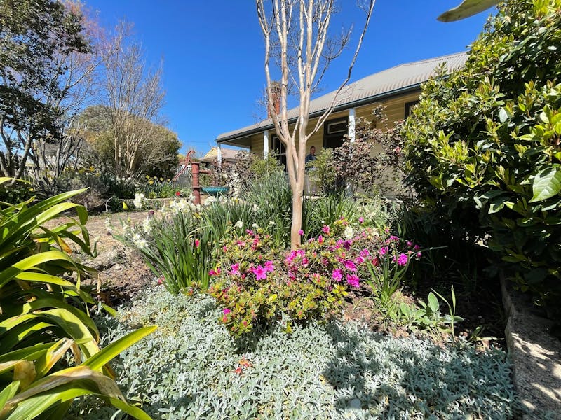 garden beds full