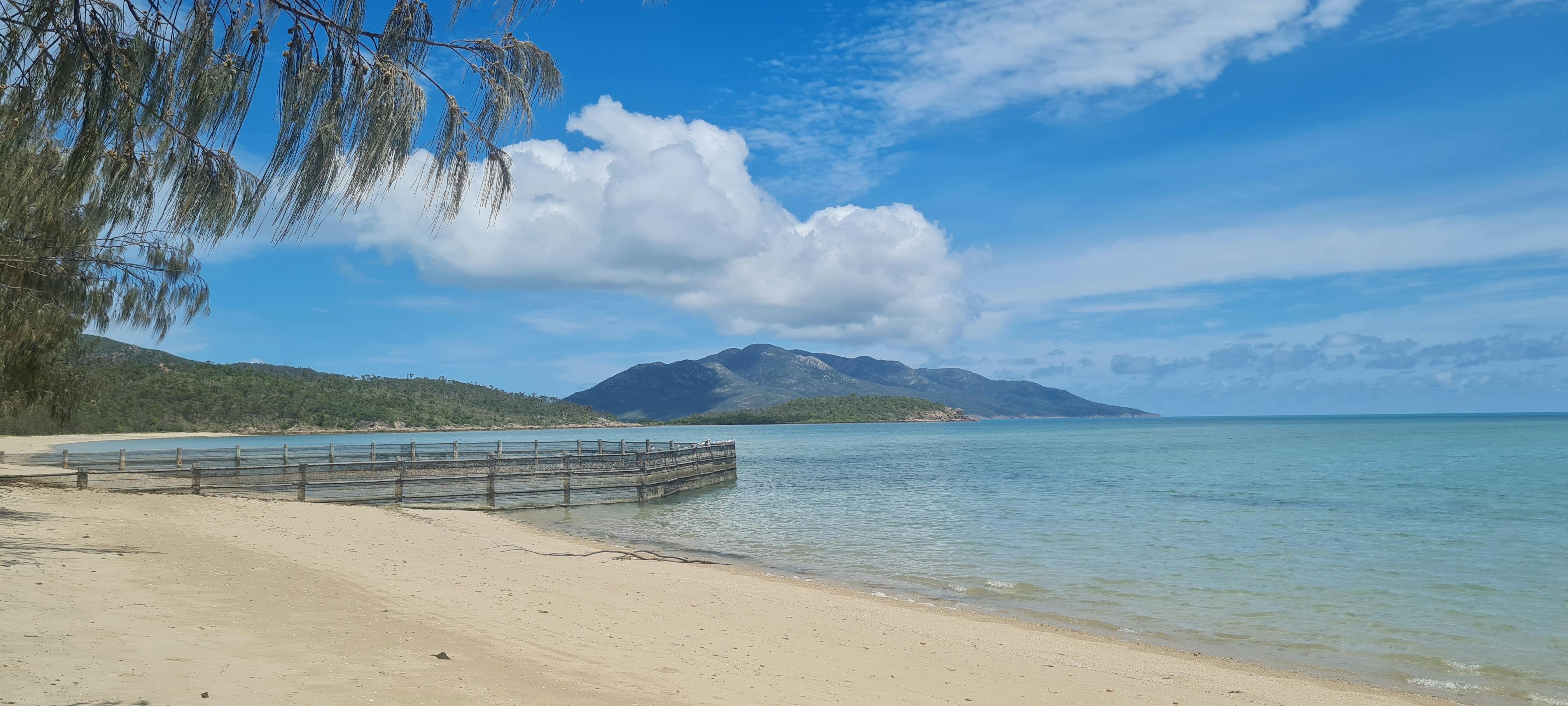 Tranquil Dingo Beach