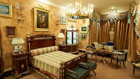 David Roche Gallery