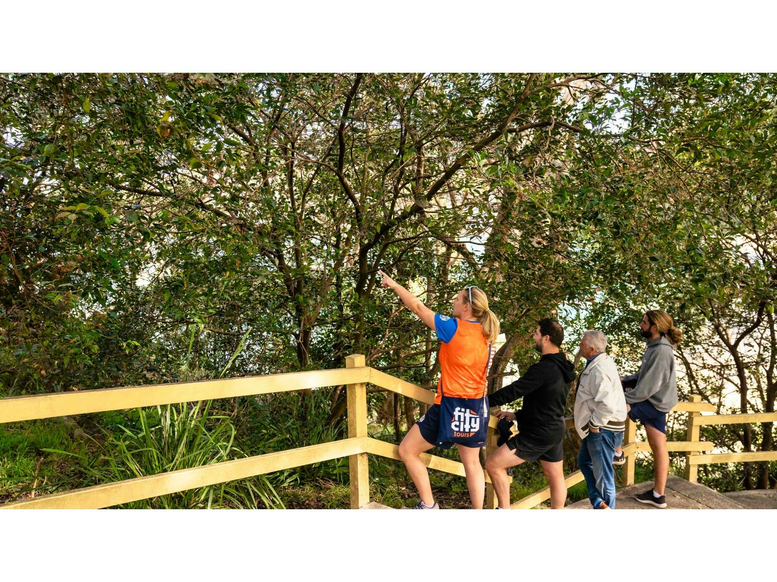 With your very own Sydney city tour guide leading the pack, this hiking tour will explore iconic coa