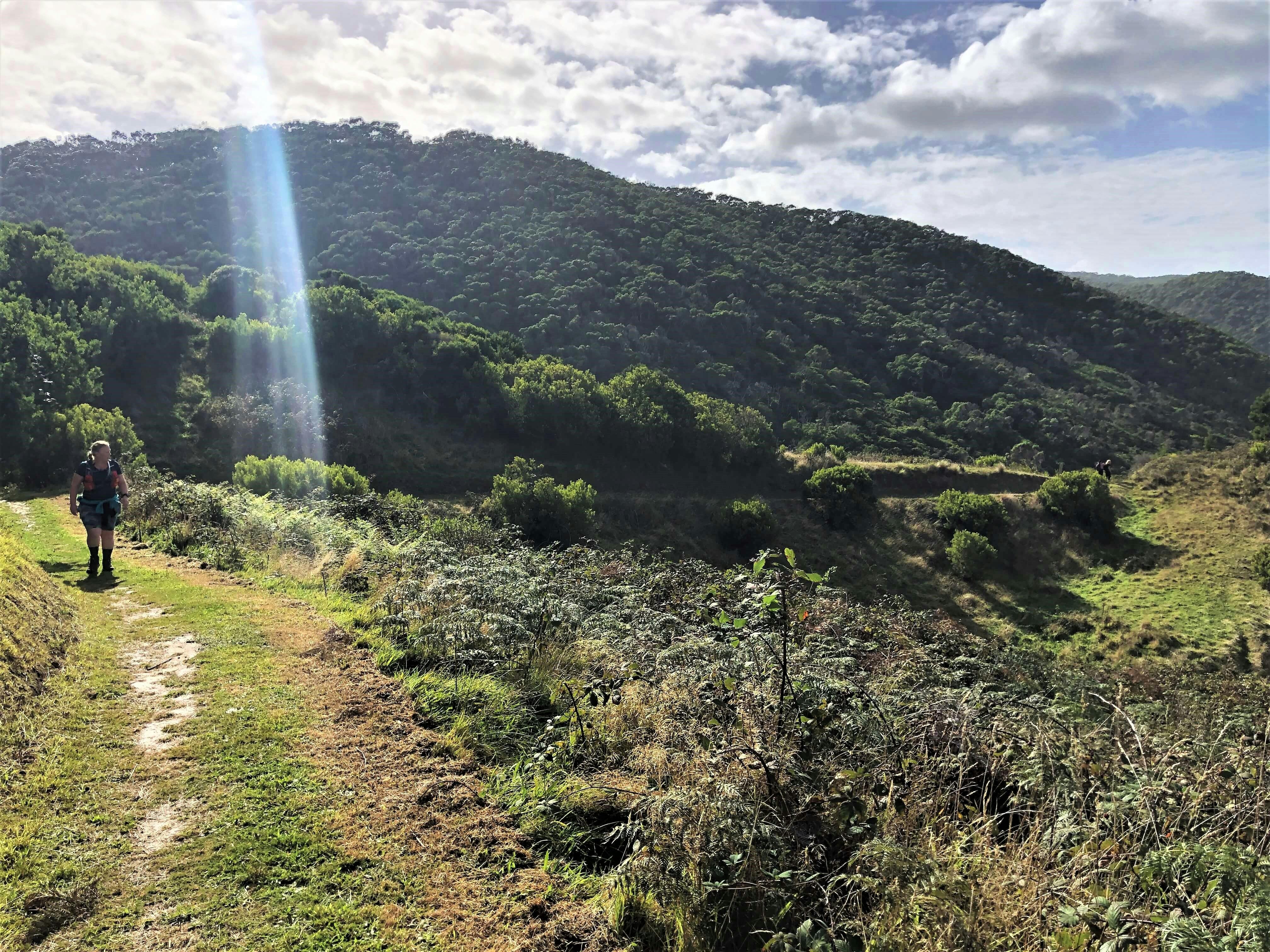 AllTrails Tours Great Ocean Walk Tour