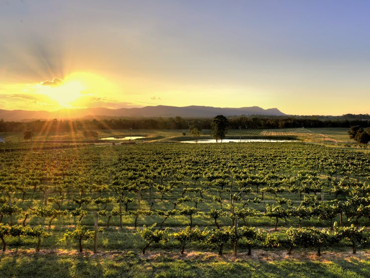 The best view in Lovedale, Hunter Valley.