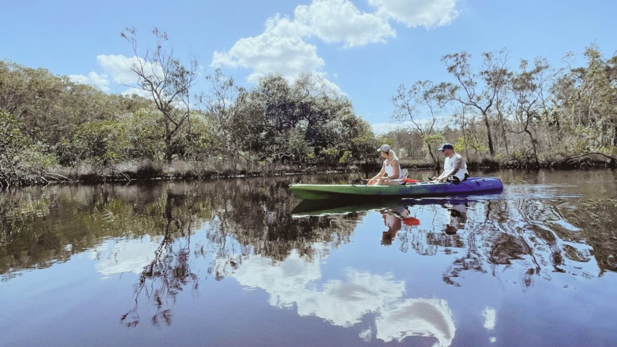 Southern end of noosa everglades system lake weyba stingrays and wildlife
