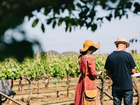 Couple enjoying the Coonawarra Vineyards