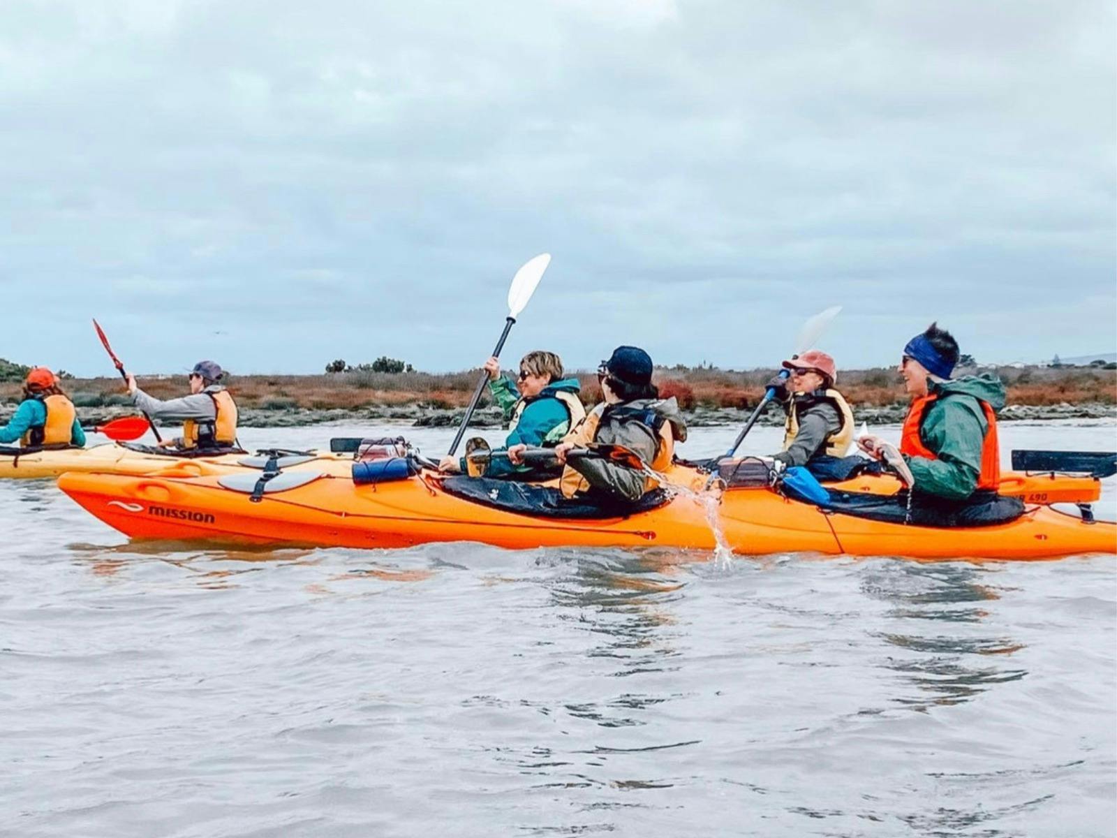 Canoe The Coorong on the move, Enliven Outdoor Adventures Day Trip