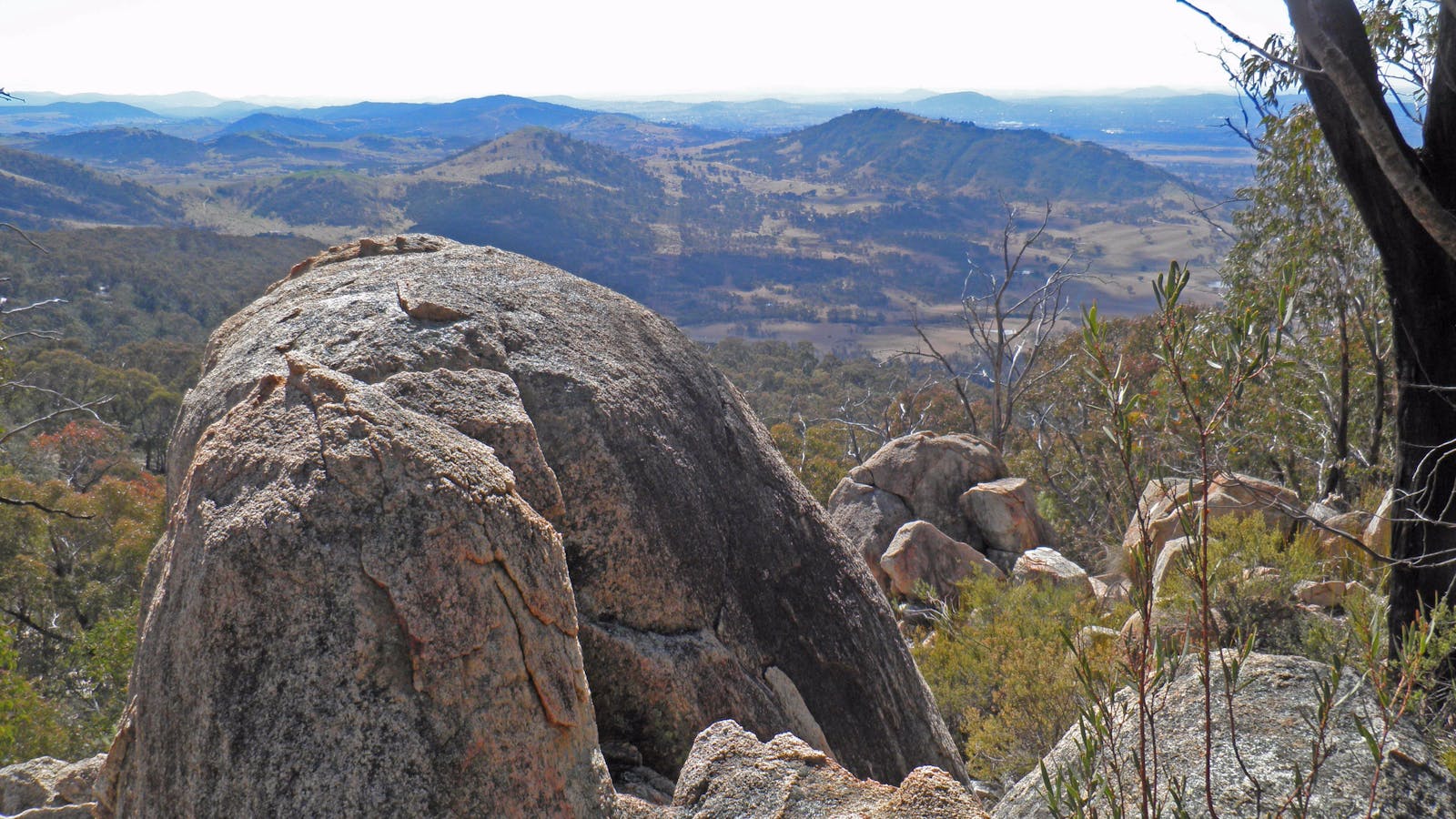 Mt Tennent