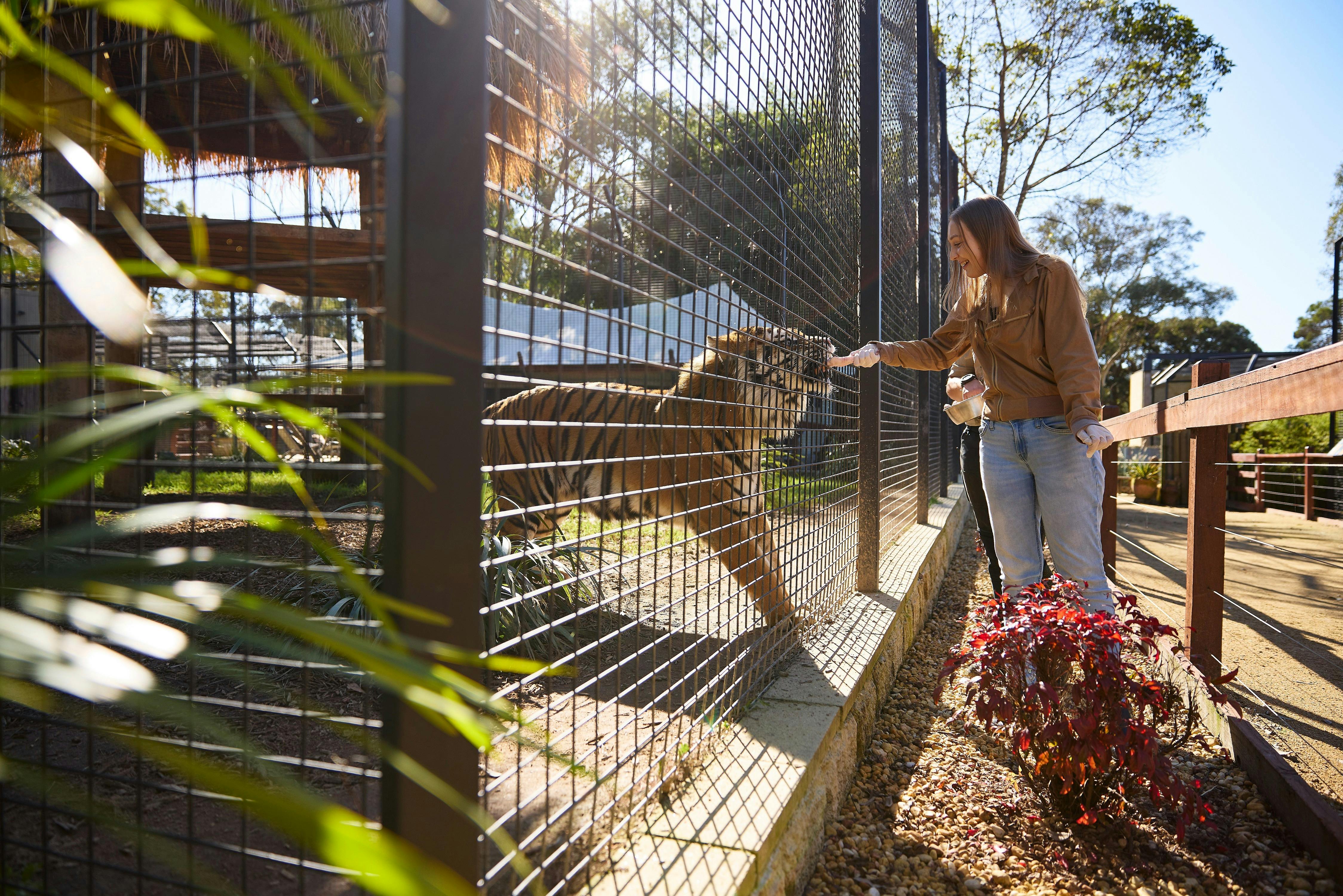 Zambi Wildlife Retreat