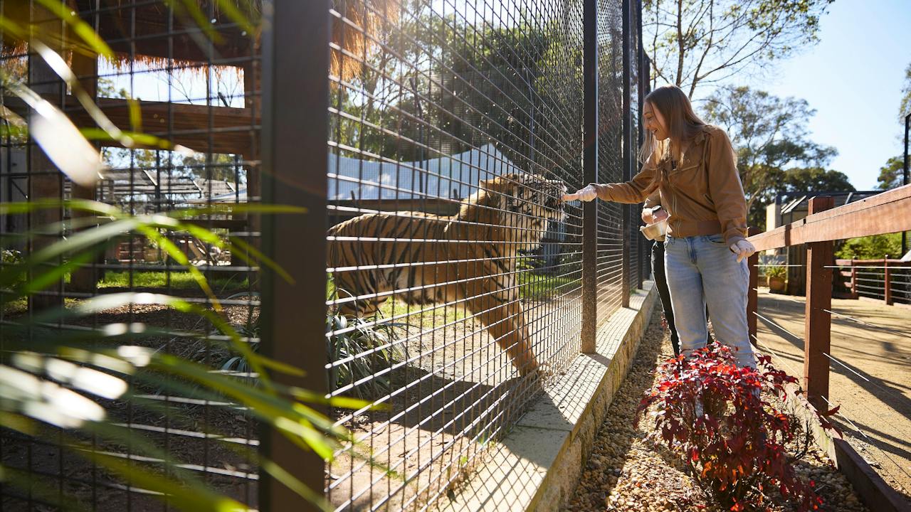 Zambi Wildlife Retreat