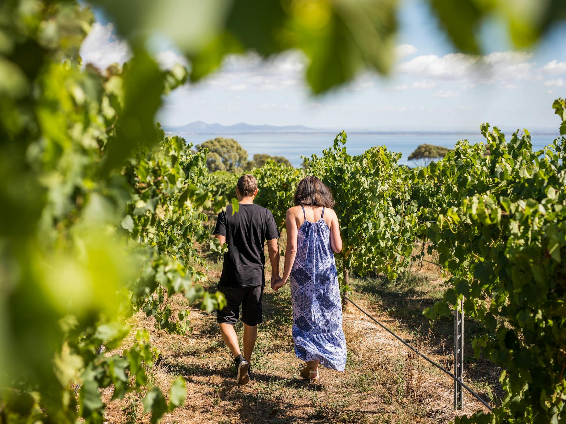 Bellarine Winery