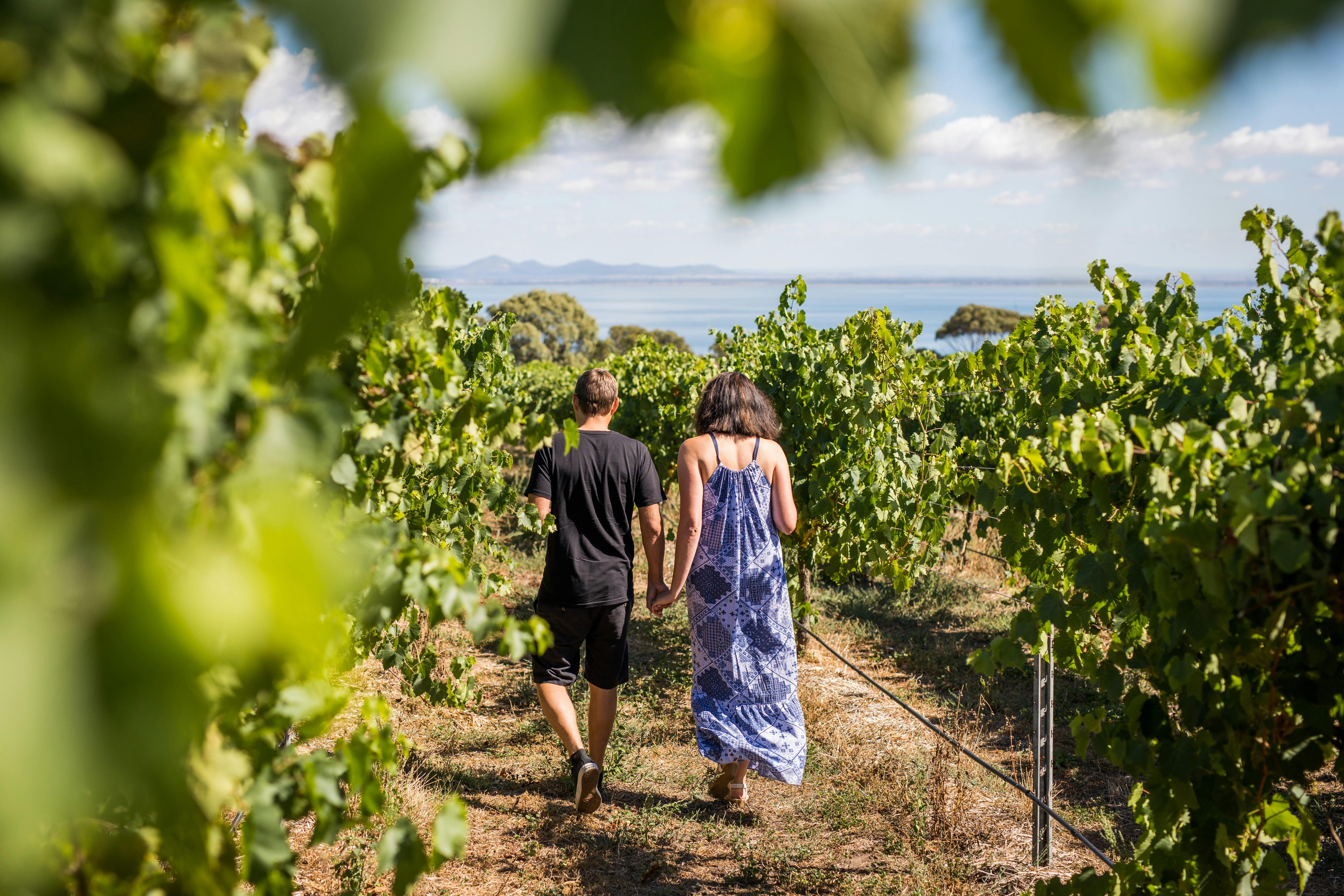 Bellarine Winery