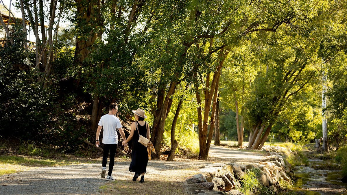 Walk along Sandy Creek
