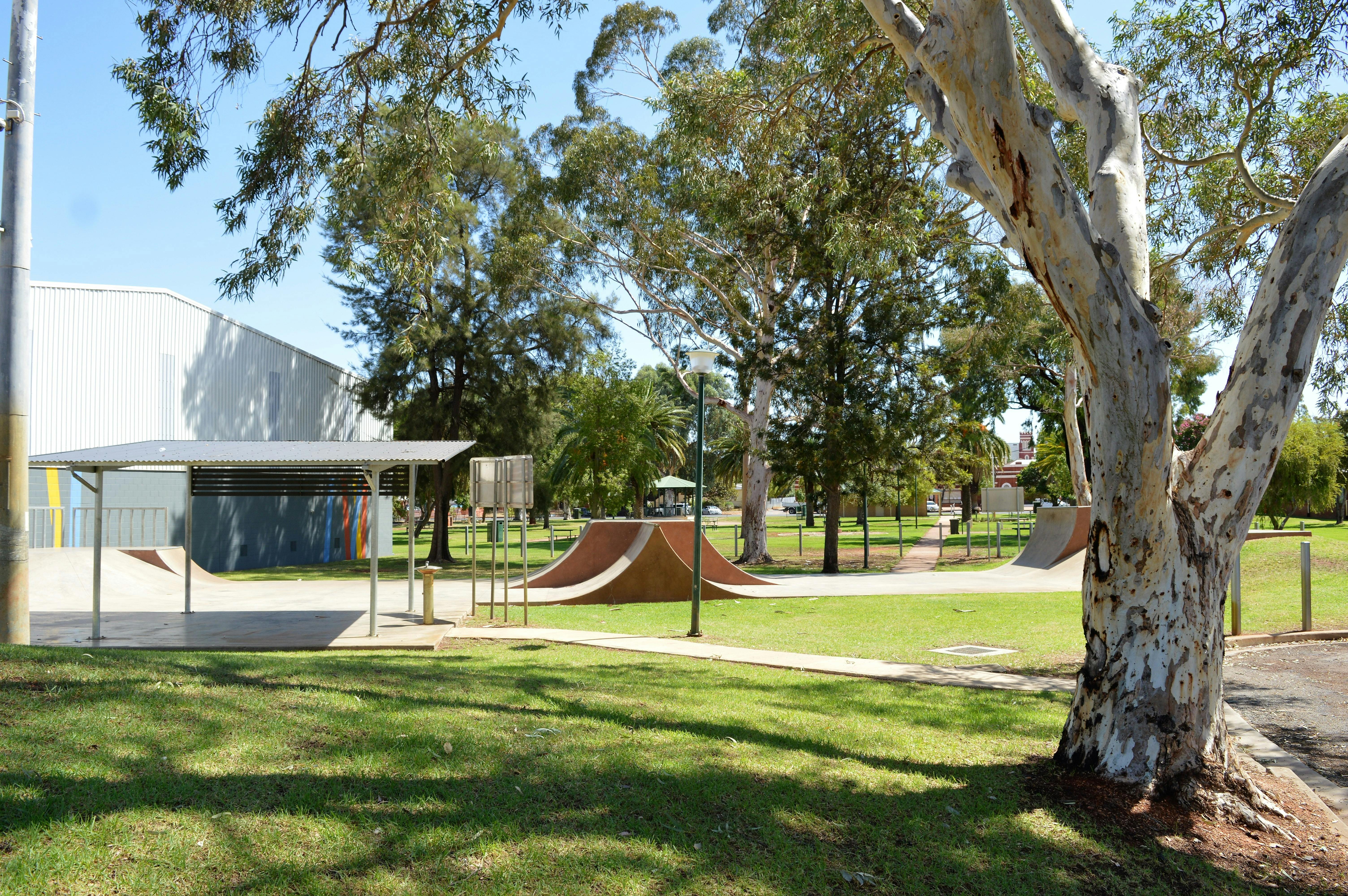 Drummond Park 스케이트 파크