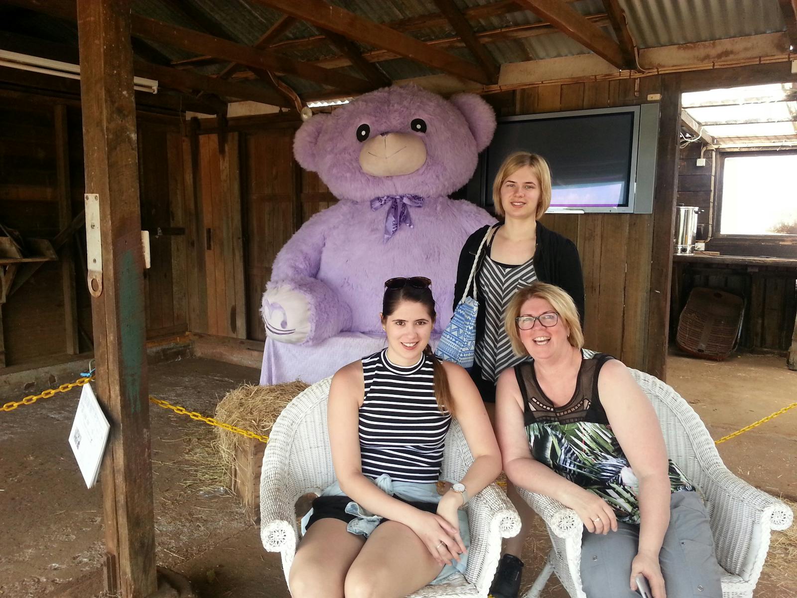 Bridestowe Lavender Farm