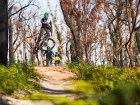 Tathra Mountain Bike Trails