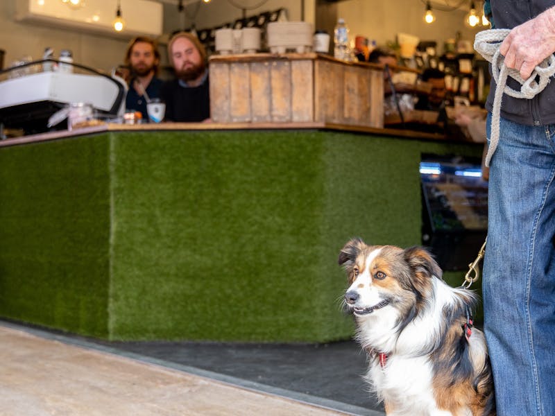 Pet Friendly Doppio