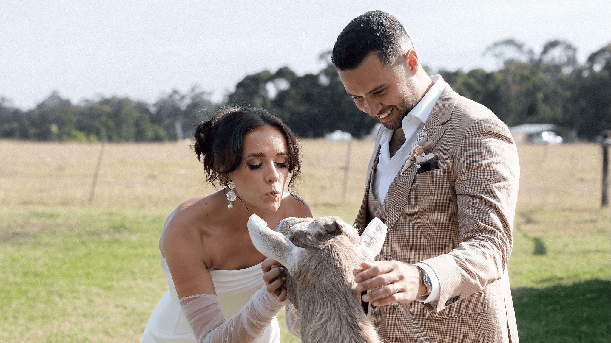 Bride and groom at Eight Acres wedding interacting with friendly farm animals in open paddock
