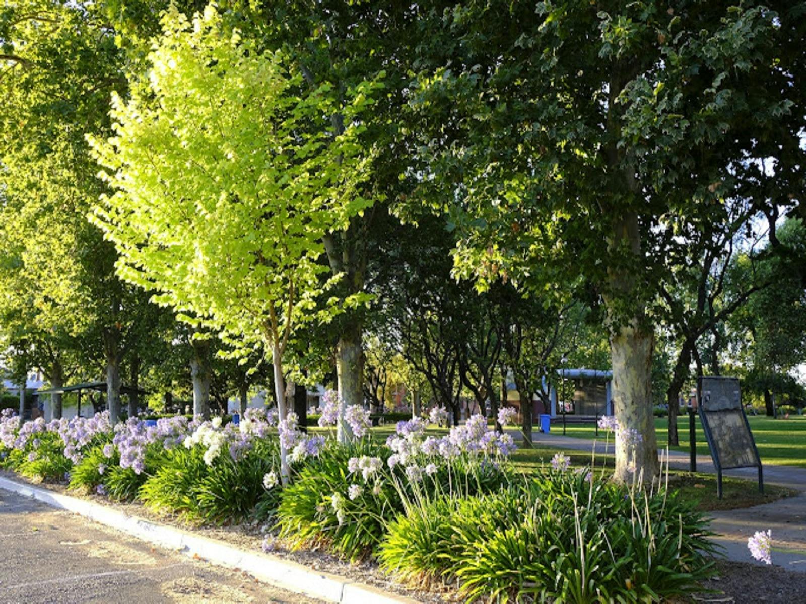Manicured gardens and lawn