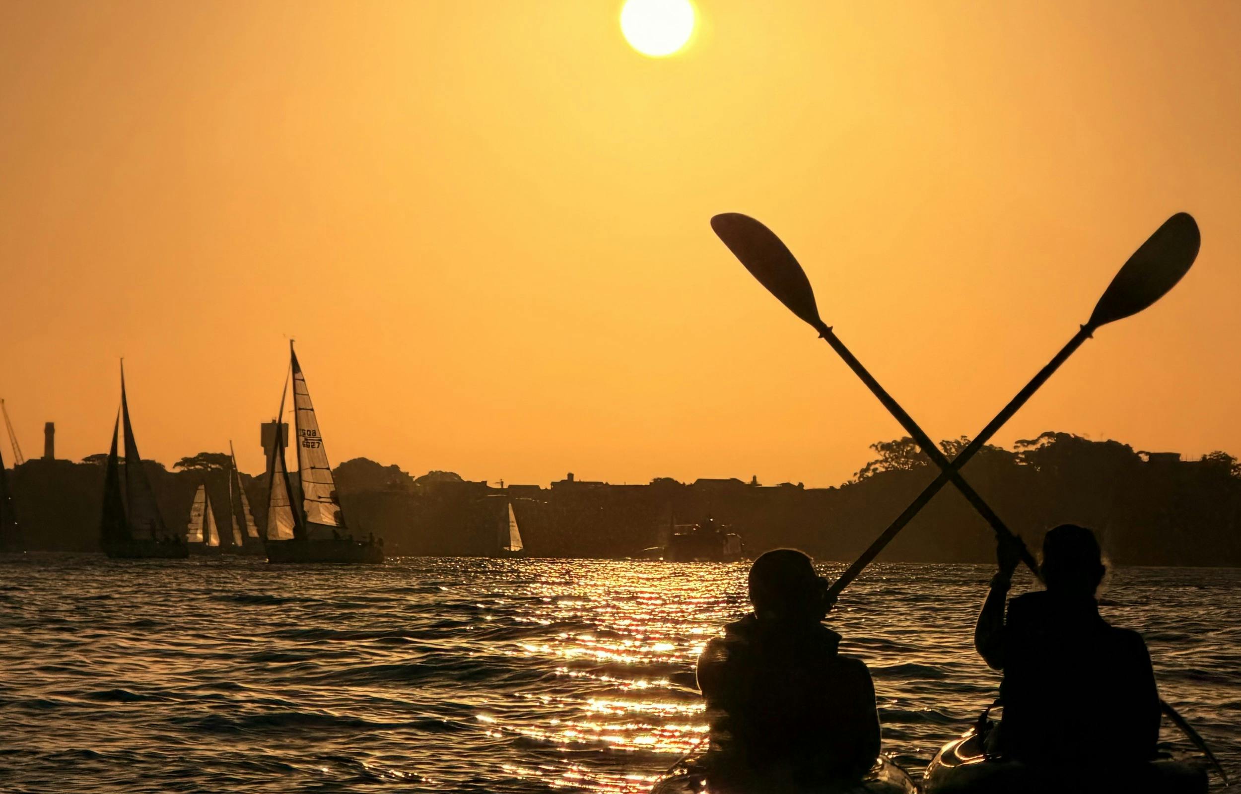 Silhouetted kayakers paddling across Sydney Harbour beneath a bright golden sunrise.
