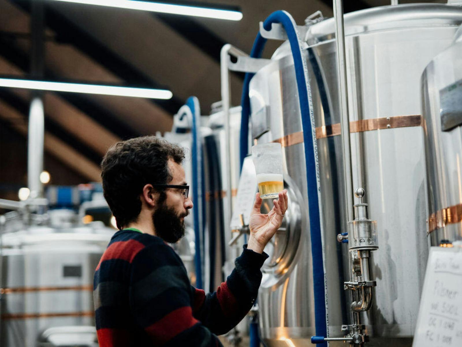 Brewer inspecting beer sample beside stainless steel brewing tanks in modern brewery.