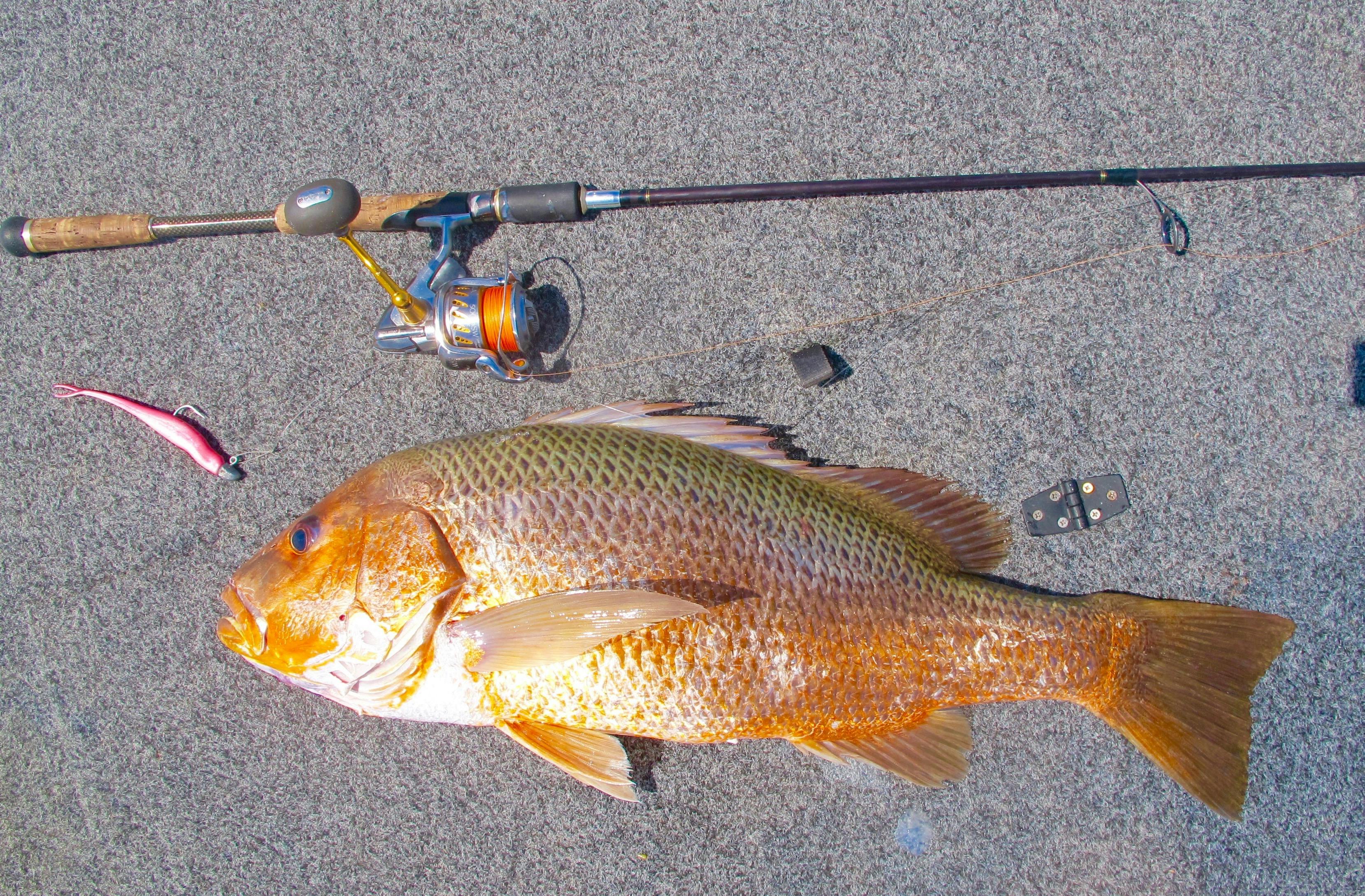 plastics fishing