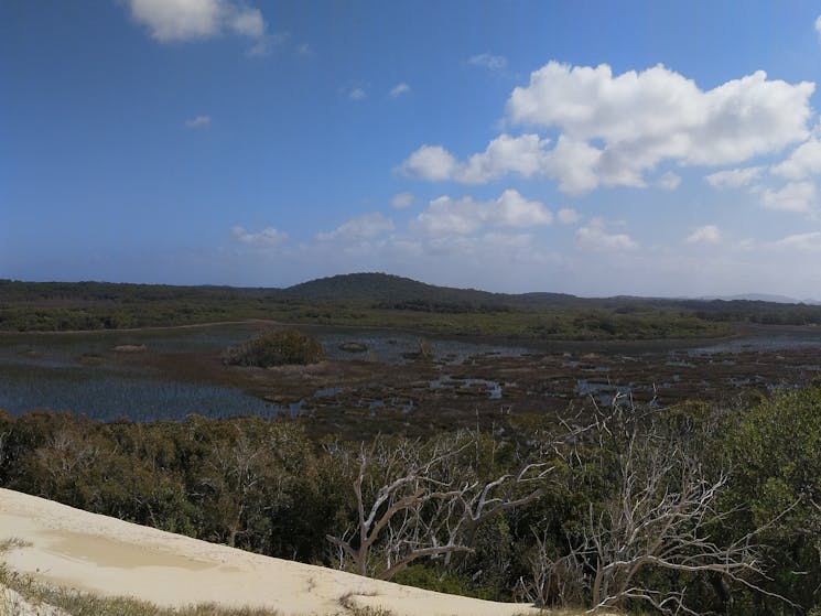 Wetlands And Sand Dunes Guided Walk Nsw Holidays And Accommodation
