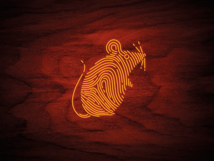 A wood textured background with a line drawn golden mouse in the foreground.