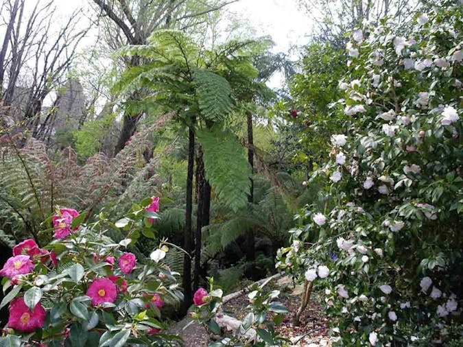Adelaide Hills BB Accommodation