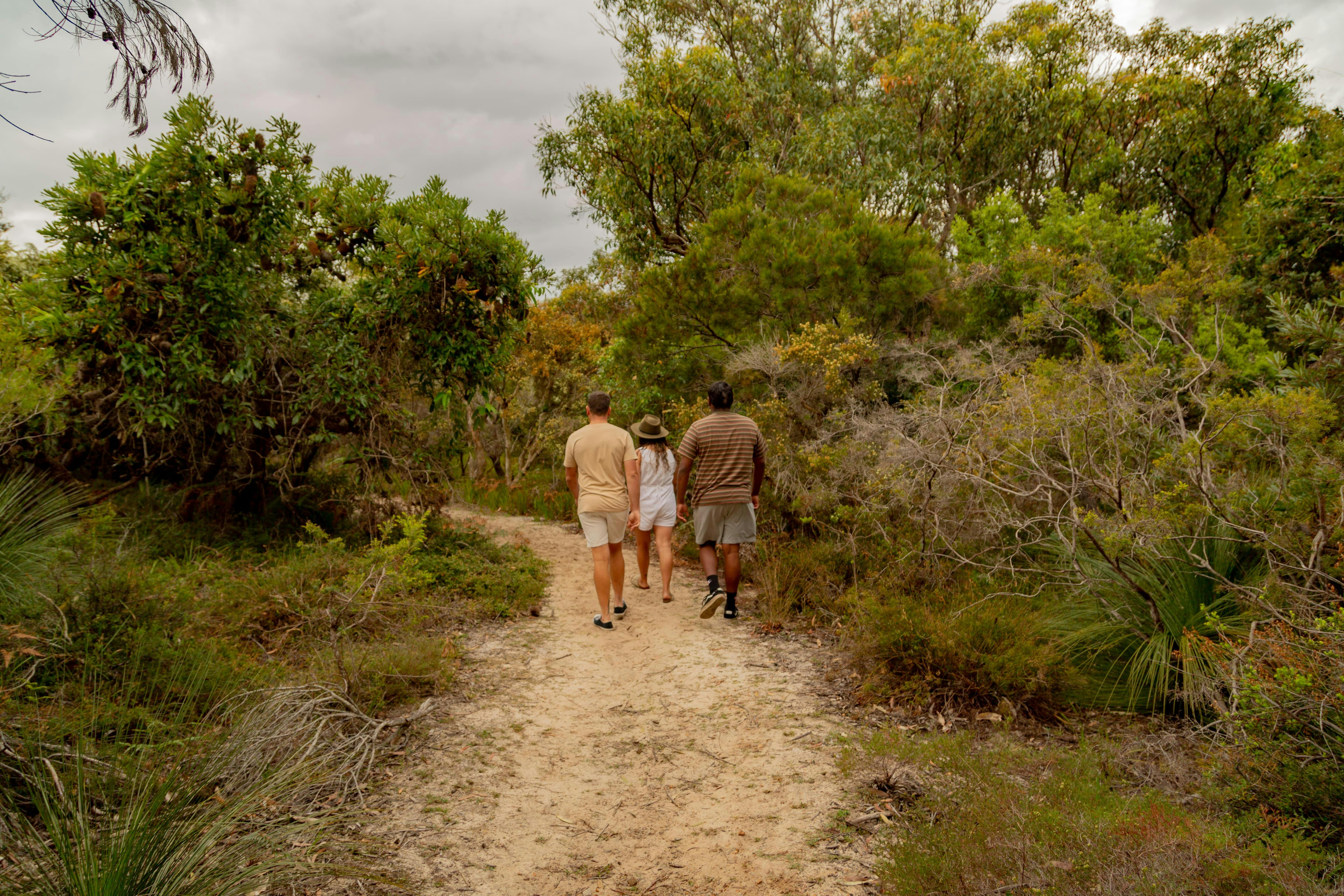 Tracks through Dirawong Reserve