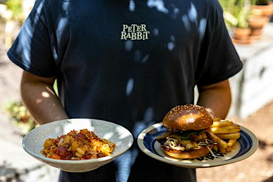 Peter Rabbit - Adelaide, Food and Drink | South Australia